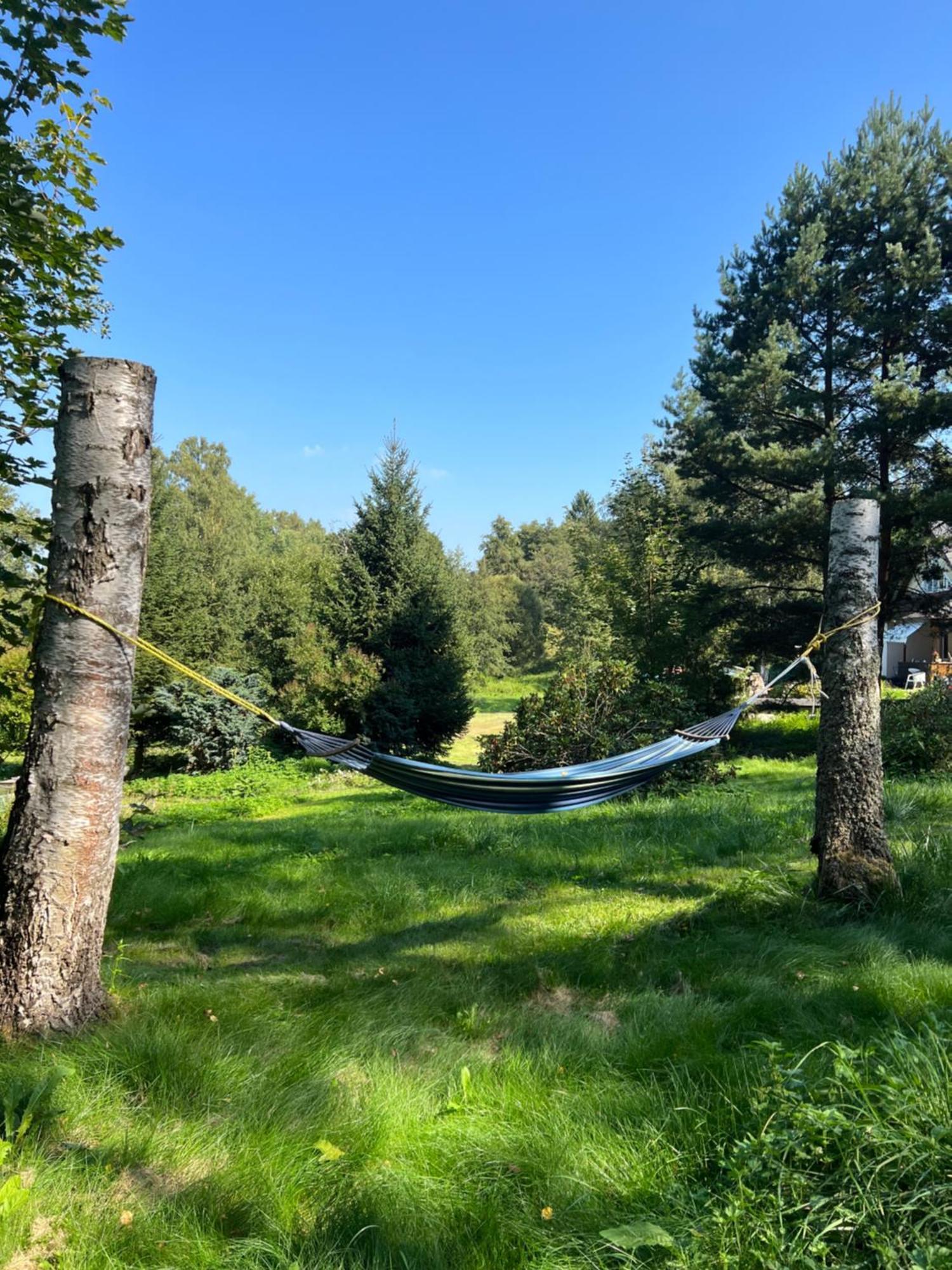 Forest Paradise Stružná Exteriör bild